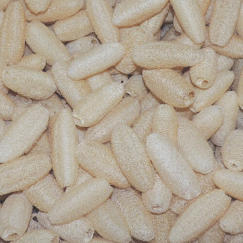 小型絲瓜絡～天然菜瓜布-1條 (3吋)